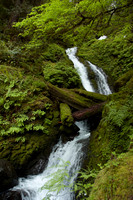 The Great Northwest