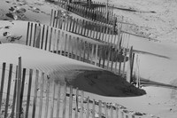 Outer Banks